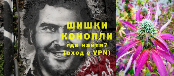 дживик Аркадак
