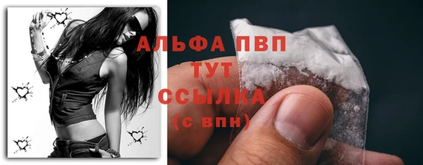 стафф Арсеньев