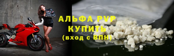 стафф Арсеньев