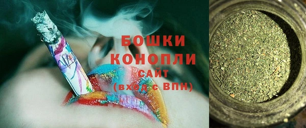 дживик Аркадак