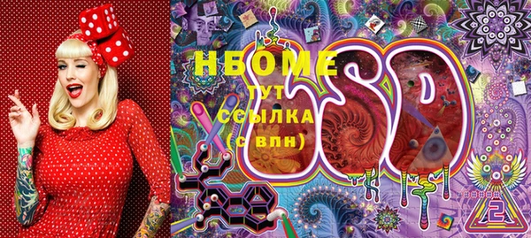 стафф Арсеньев