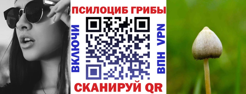 хочу   Александровское  Галлюциногенные грибы Psilocybine cubensis 